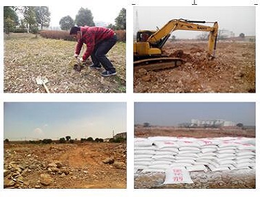 液體N-環(huán)己基-二丙烯三胺 CHAPAPA CAS No:5332-73-0，易于與環(huán)氧樹脂混合，提供良好的操作寬容度